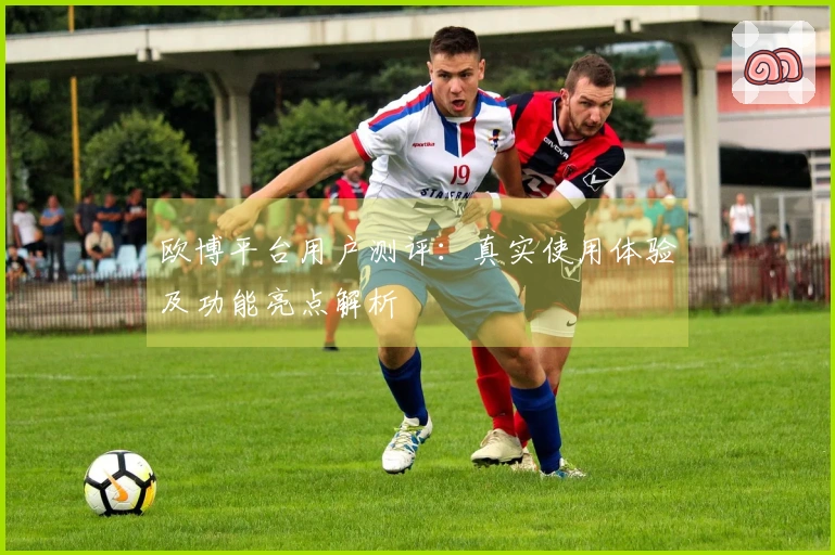 欧博平台用户测评：真实使用体验及功能亮点解析