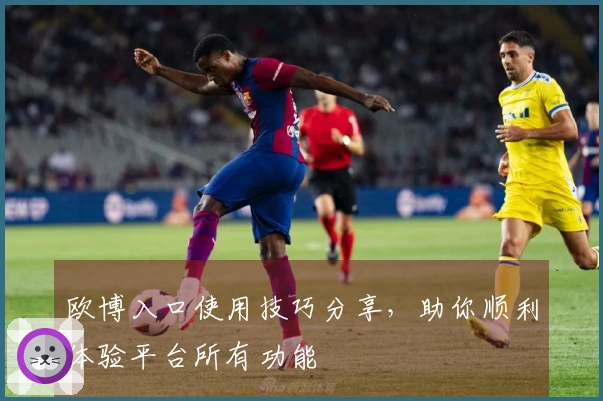 欧博入口使用技巧分享,助你顺利体验平台所有功能