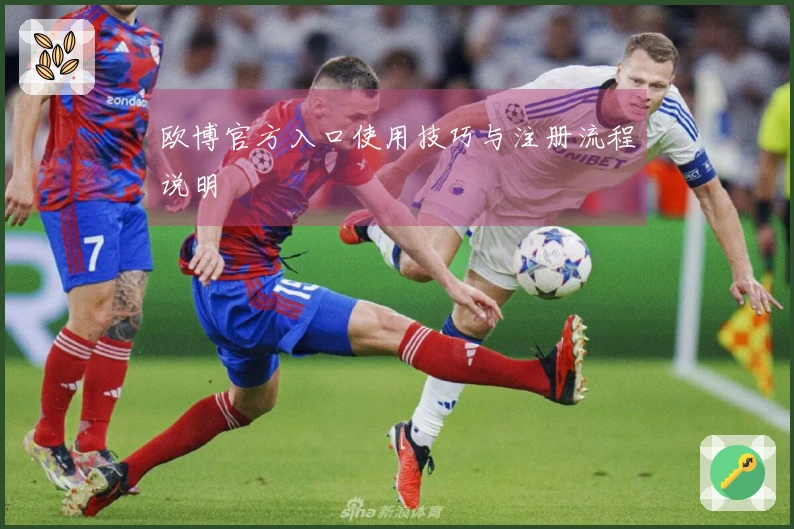 欧博官方入口使用技巧与注册流程说明